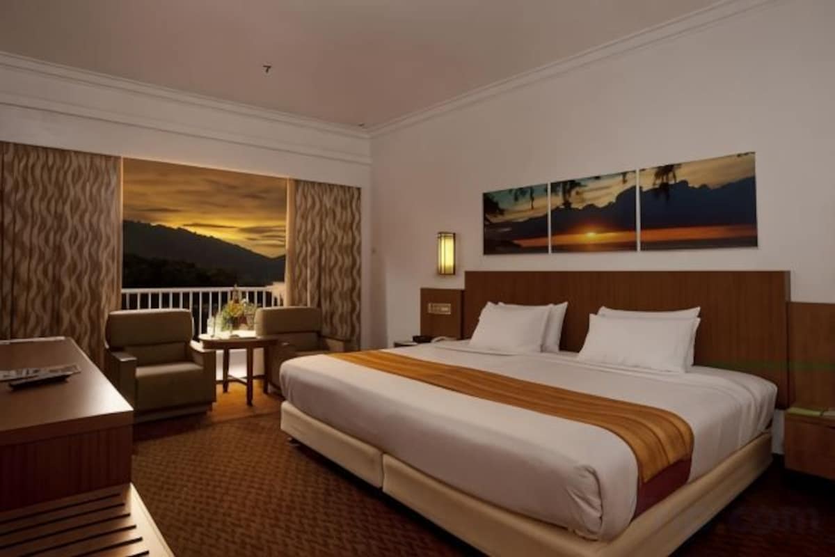 Minibar, iron/ironing board, free WiFi, bed sheets