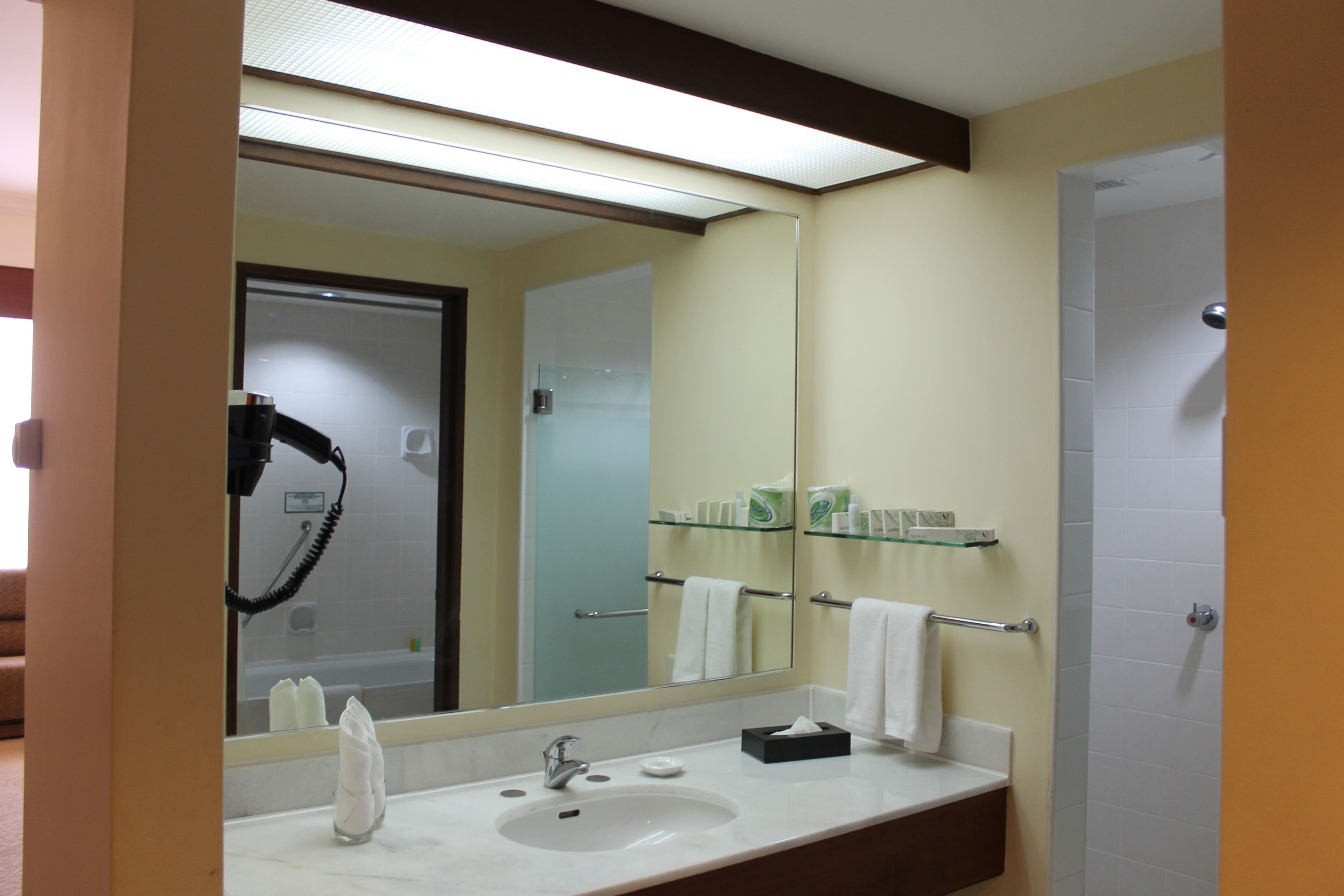 Un baño con un espejo grande, un lavamanos y una cabina de ducha de vidrio.
