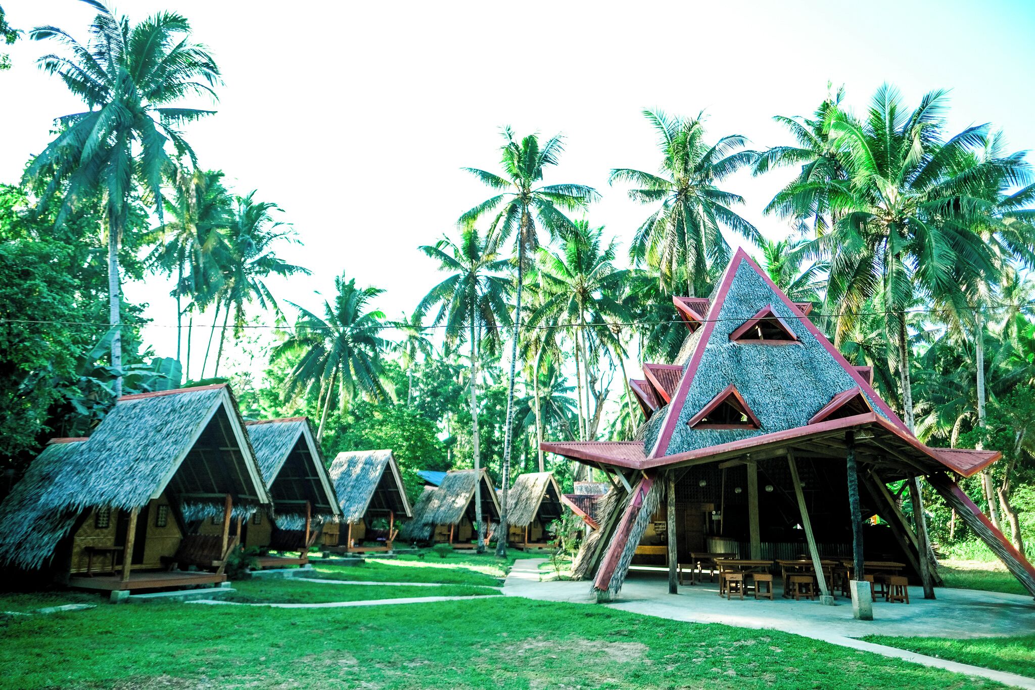 Thatched-roof huts with thatched roofs and wooden beams, surrounded by lush greenery and palm trees.