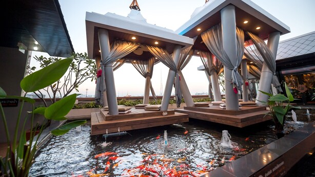 Un espacio moderno al aire libre con un estanque de carpas y fuentes de agua.