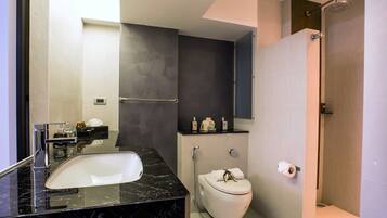 A modern bathroom with a black marble sink, a toilet, and a shower area.