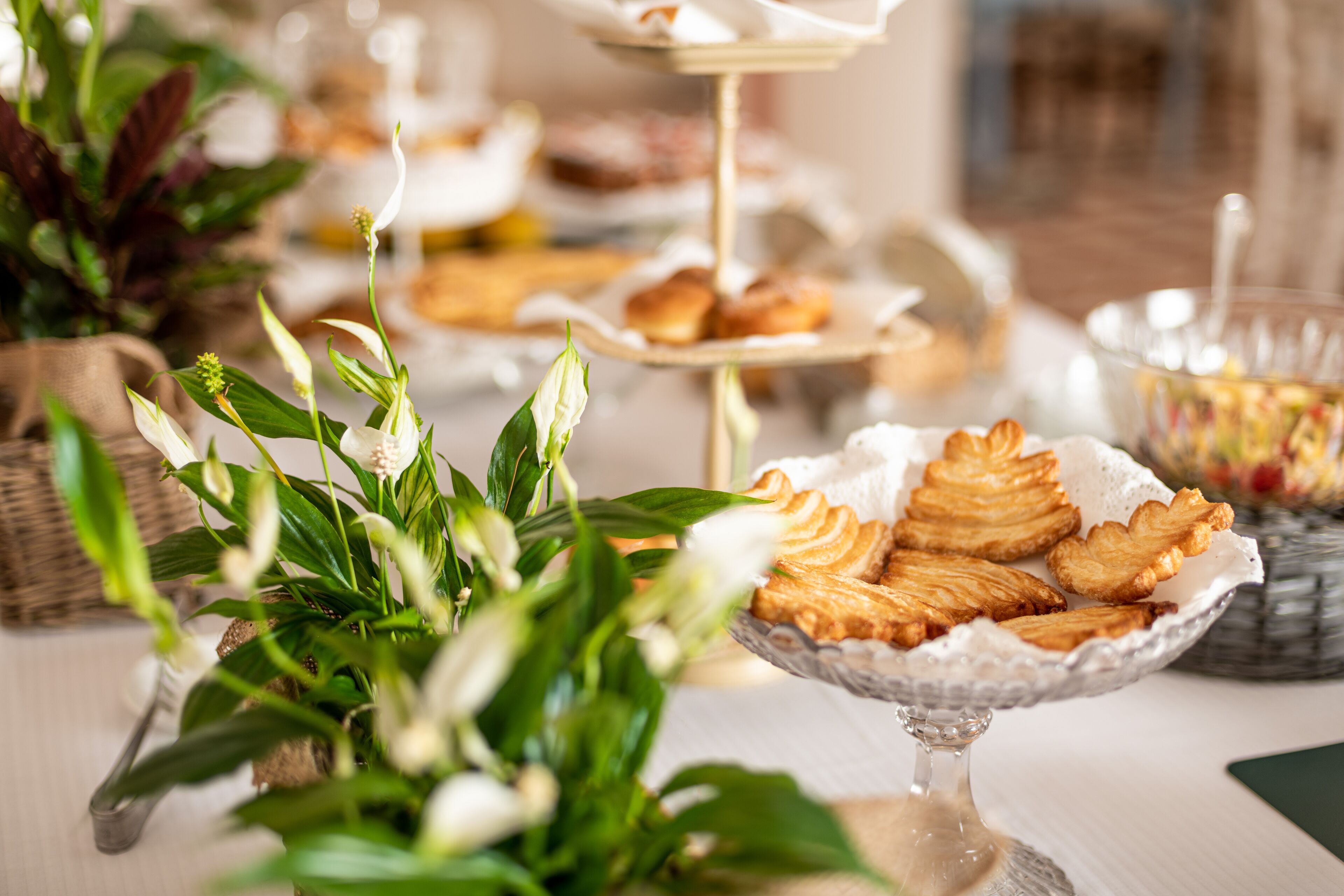 A buffet table with various pastries and a decorative plant.