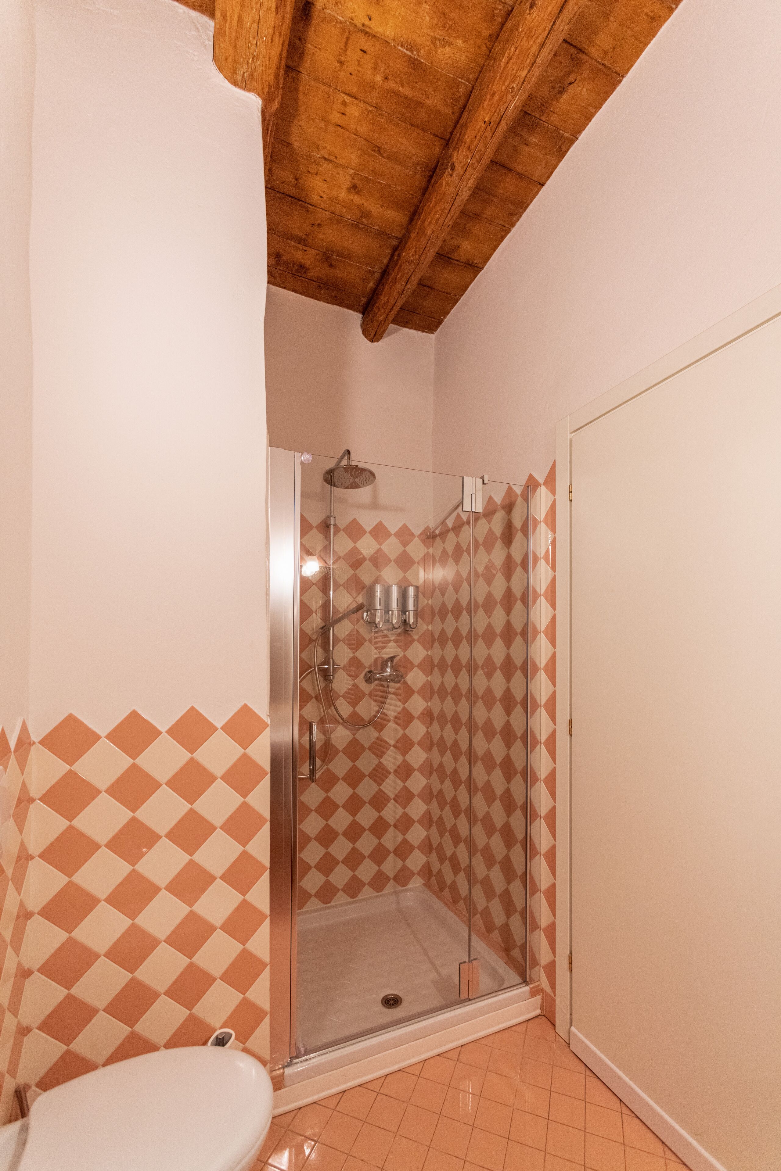 A bathroom with a shower, toilet, and patterned walls.