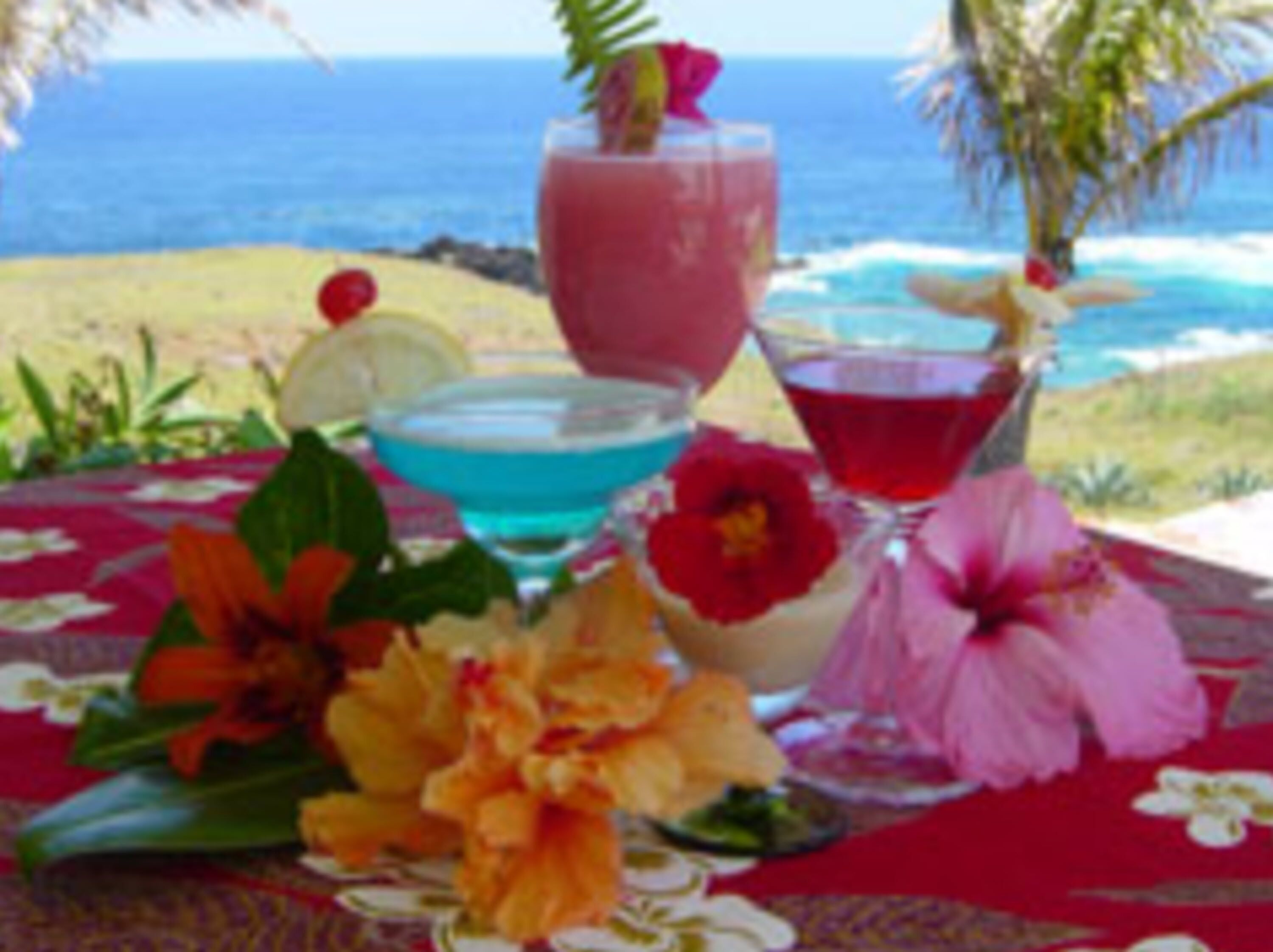 Foto - Iorana Hotel