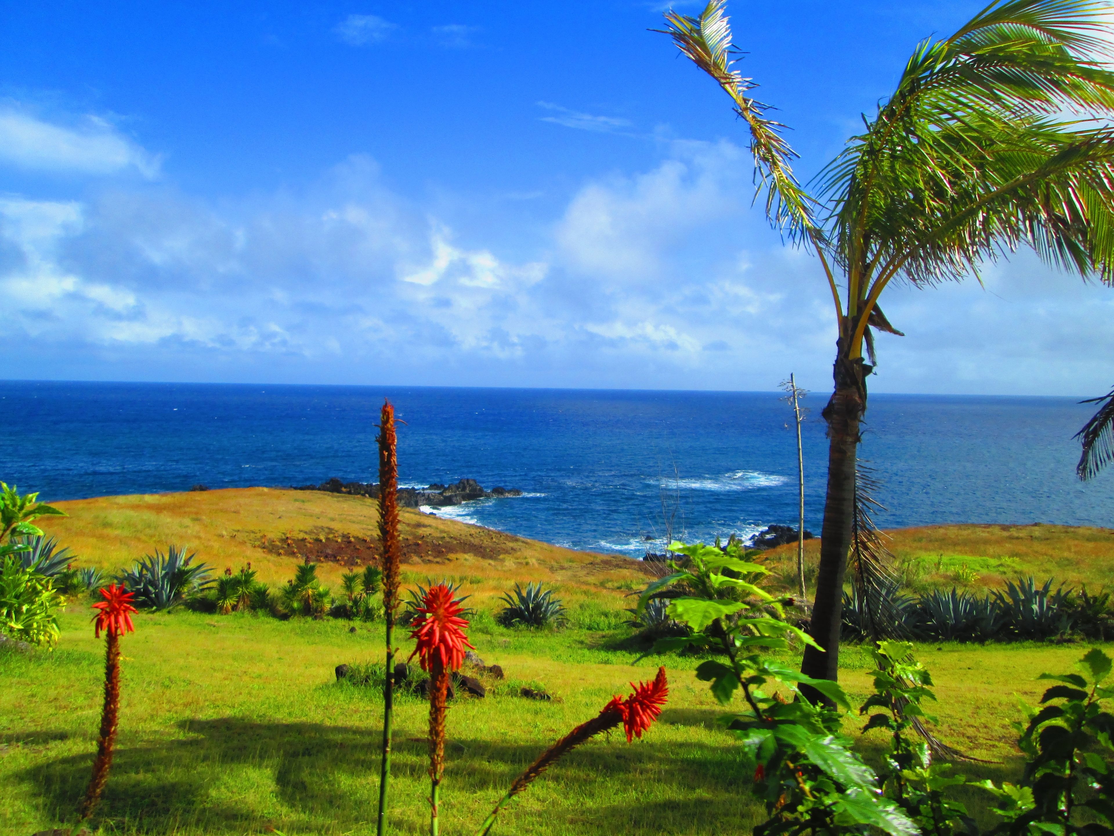 Foto - Iorana Isla de Pascua Hotel