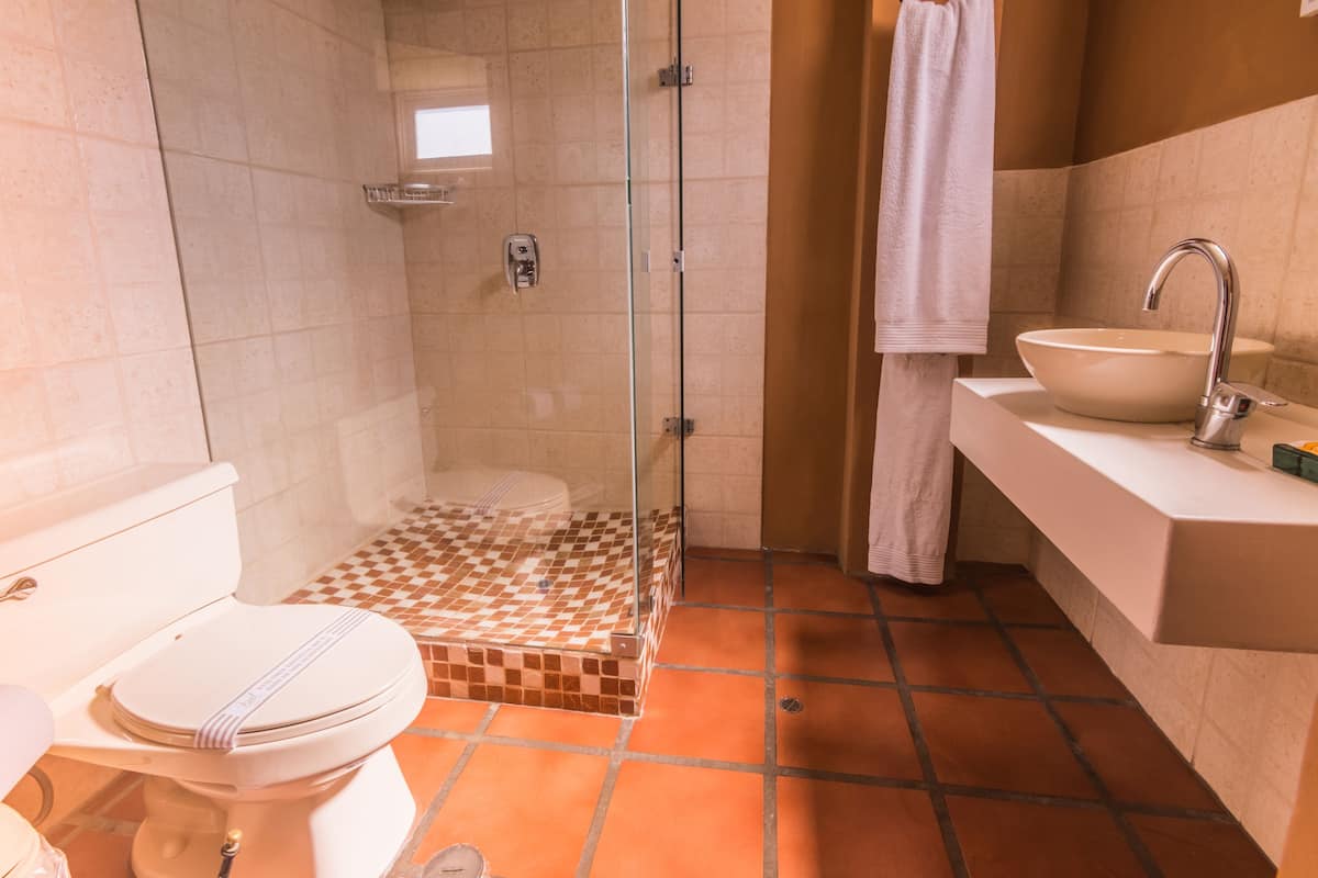 shower, free toiletries, hair dryer, towels