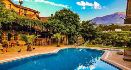 Koyevi Olympos Countryhouse