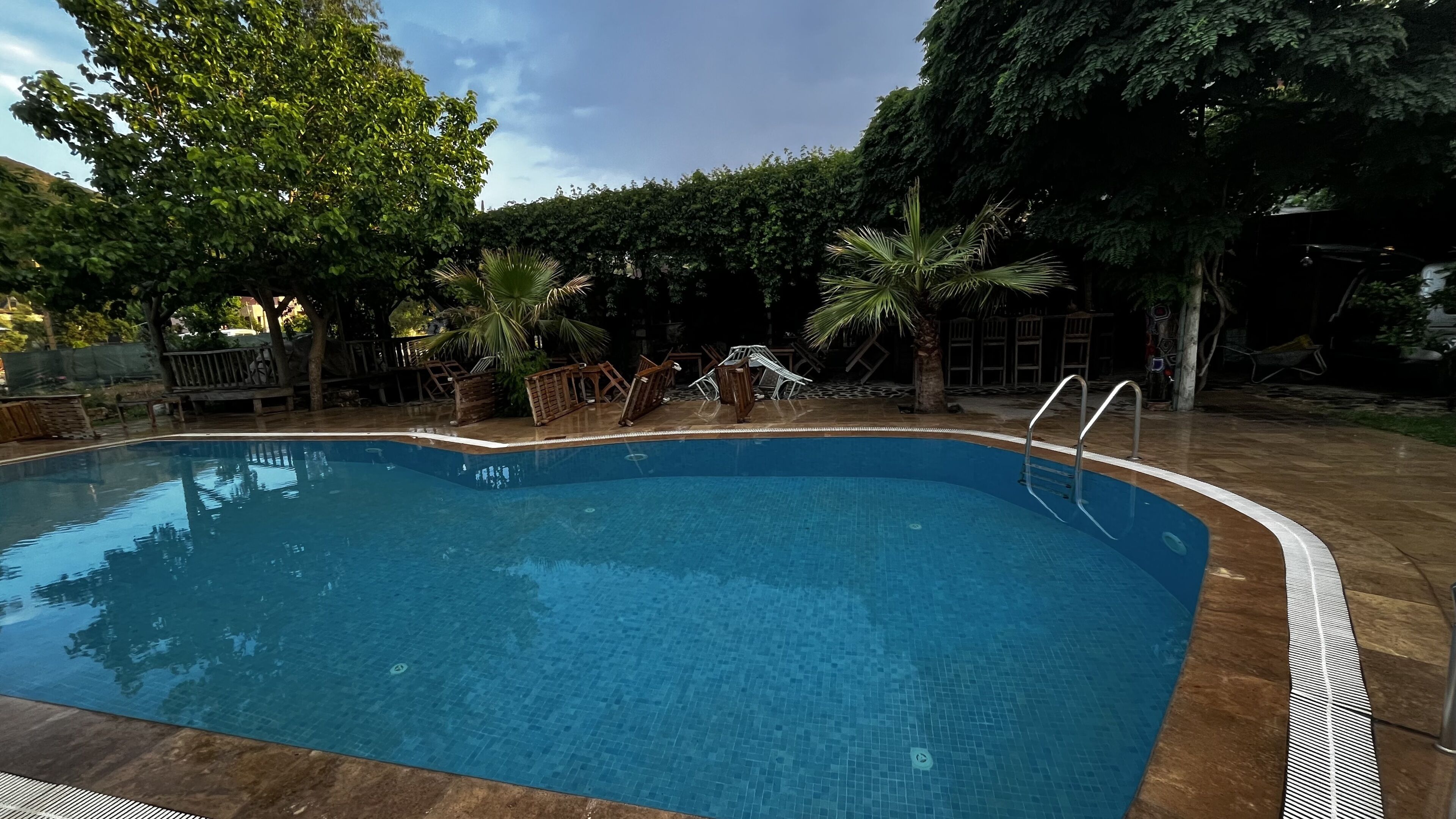 Ein rechteckiger Pool mit einer gefliesten Kante, umgeben von einer Holzterrasse und Palmen.