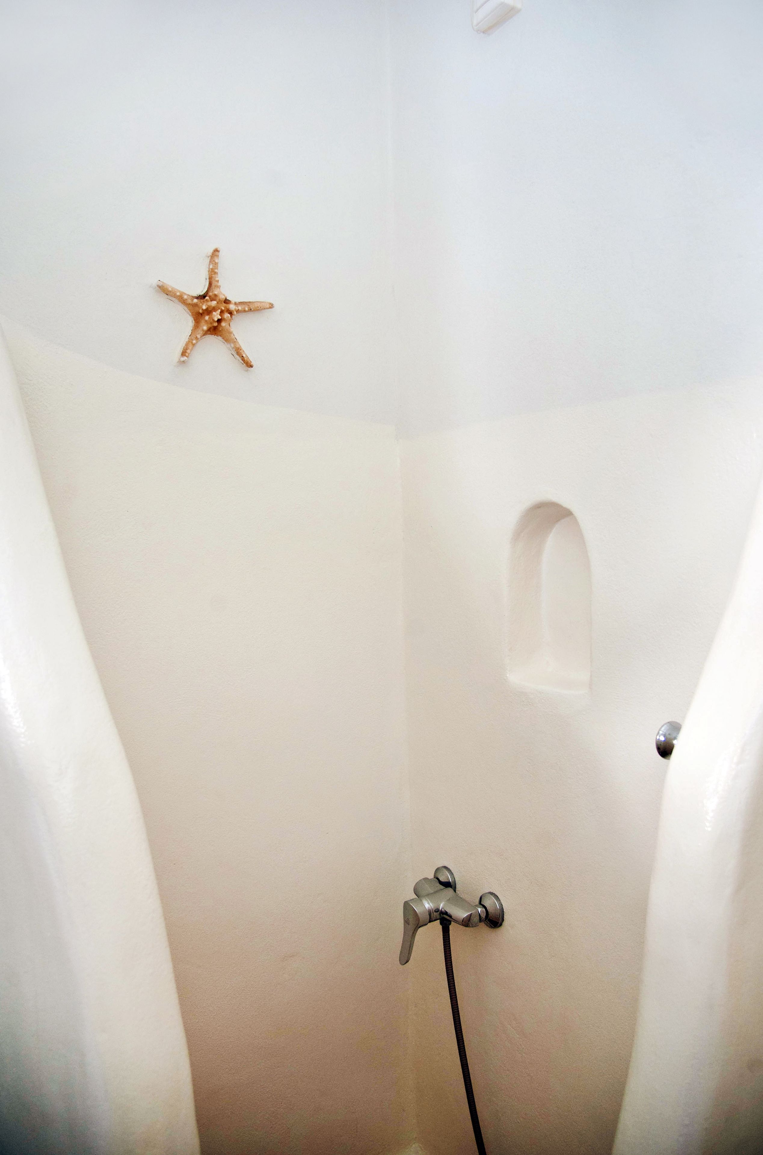 A bathroom with a bathtub, a shower, and a starfish decoration on the wall.