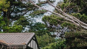 A covered outdoor area with a stone pathway, a wooden fence, and lush greenery. - Shizuka Ryokan Japanese Country Spa & Wellness Retreat (Hepburn)