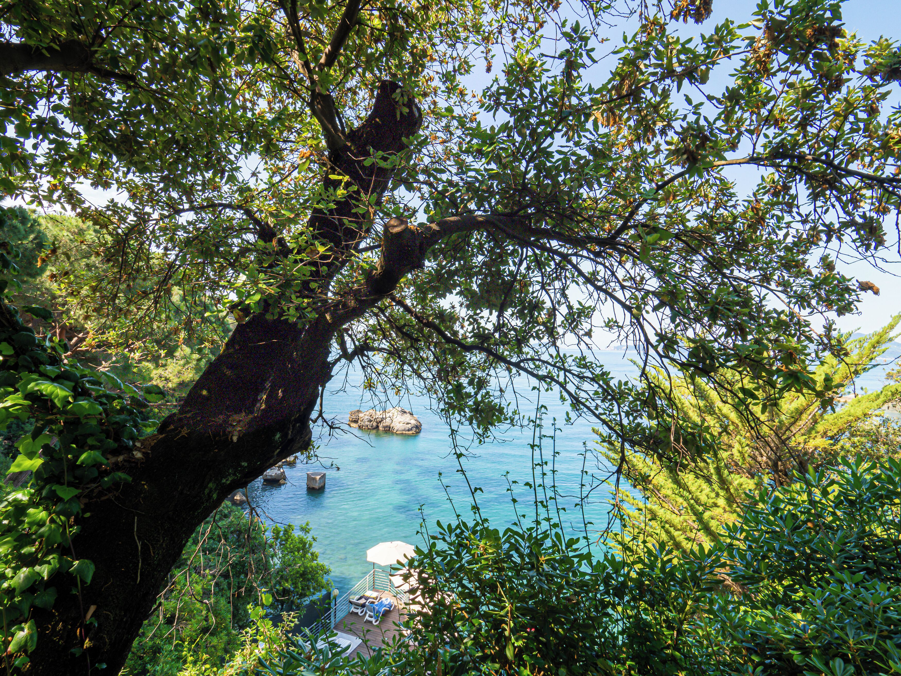 Photo - Hotel Il Nido