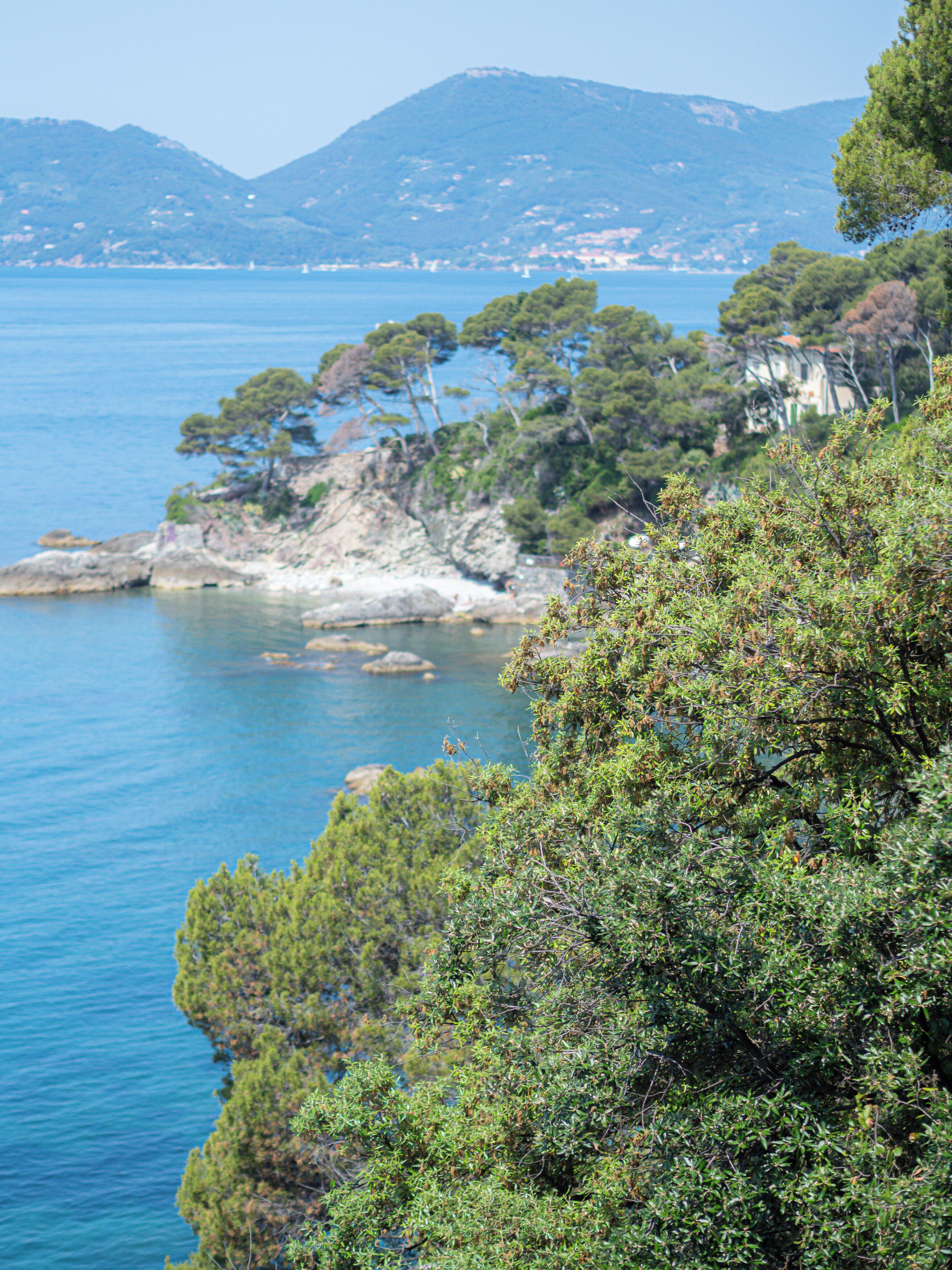 A coastal landscape with rocky cliffs, dense greenery, and a clear blue sea.