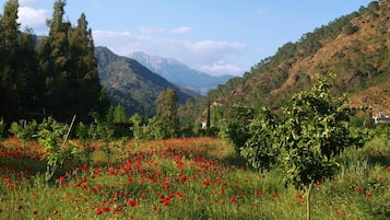 Standard Apartment, 2 Bedrooms | Property grounds