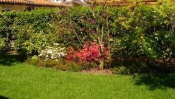 Ein gepflegter Garten mit verschiedenen Sträuchern und einem ordentlich geschnittenen Rasen.