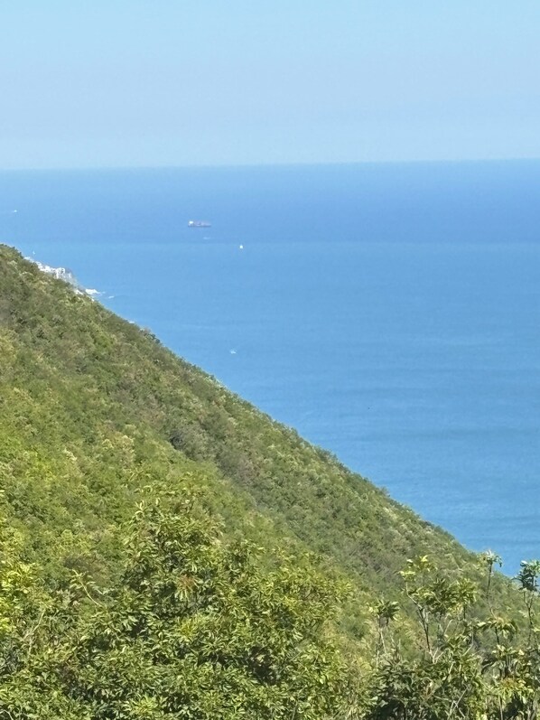 Un paisaje costero con vista al mar y una ladera verde.