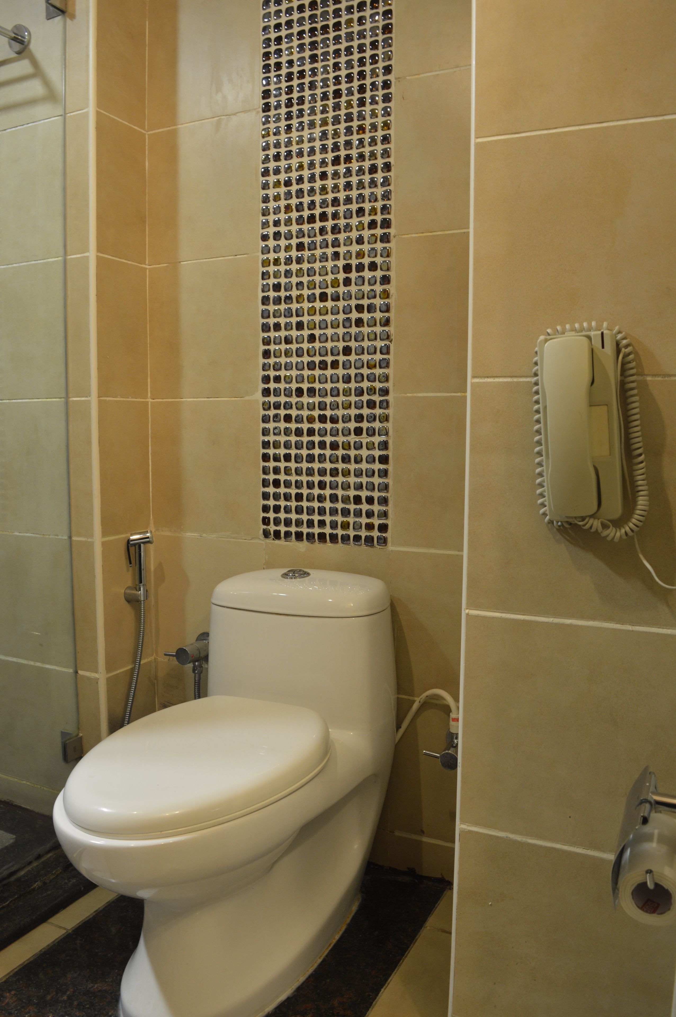Un bagno con il water, una doccia e un telefono fissato al muro.