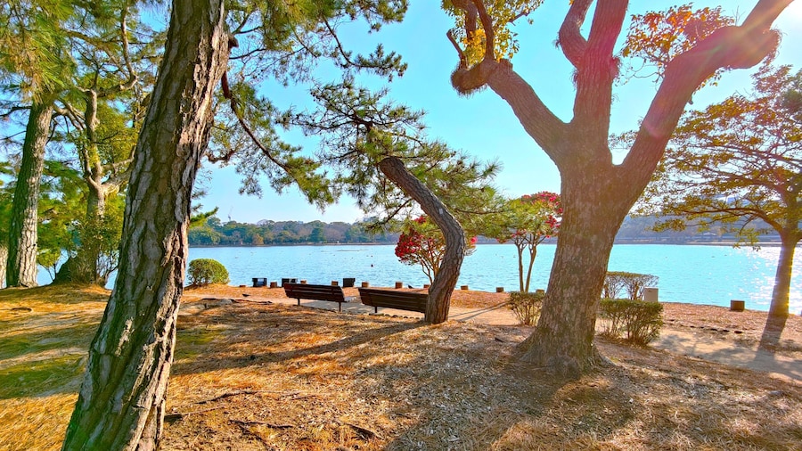 헤이와다이 호텔 오테몬