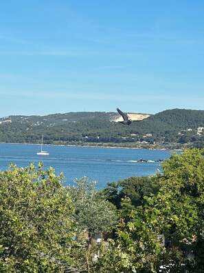 Eksteriør