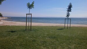 Un área con césped, con dos árboles sostenidos por estructuras de madera, con vista a una playa y al mar.