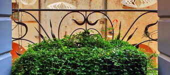 Maison Matilda