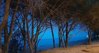 Hotel S olia