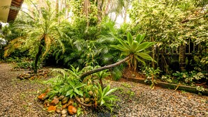 A lush indoor garden with various tropical plants and a gravel pathway. - VOA Samuka Hotel (Florianópolis)