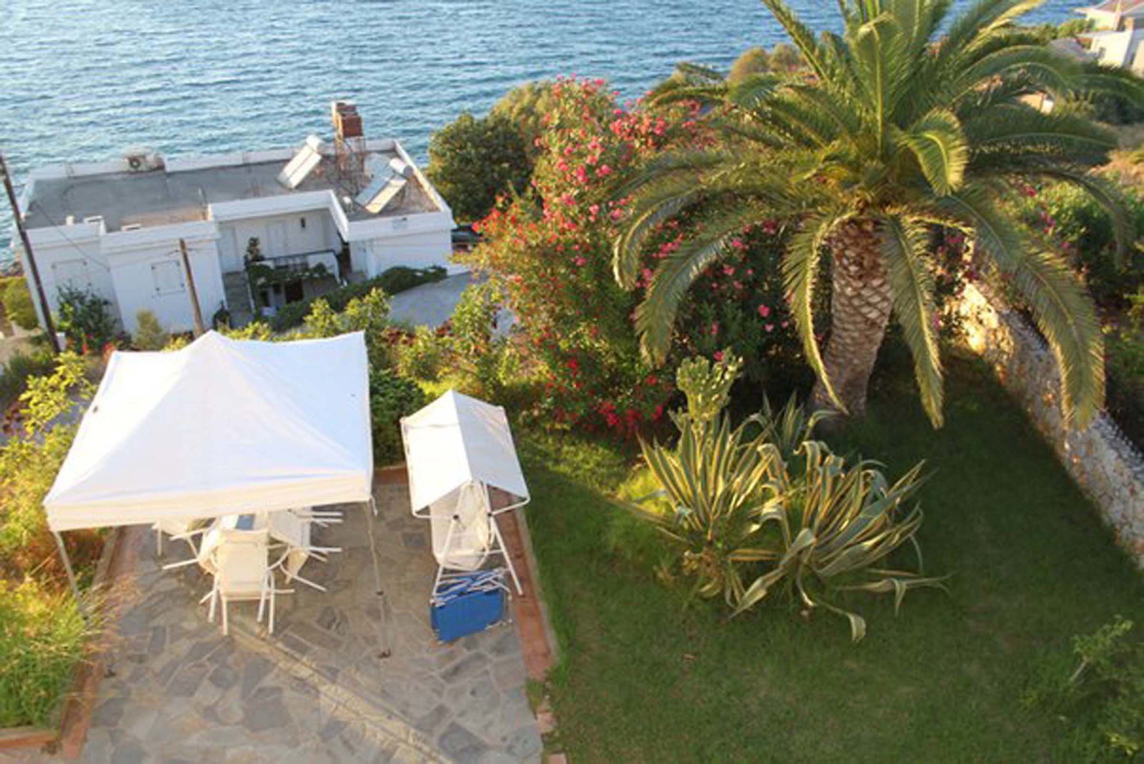 A patio with a white tent and a table, overlooking a garden with a palm tree and flowers.
