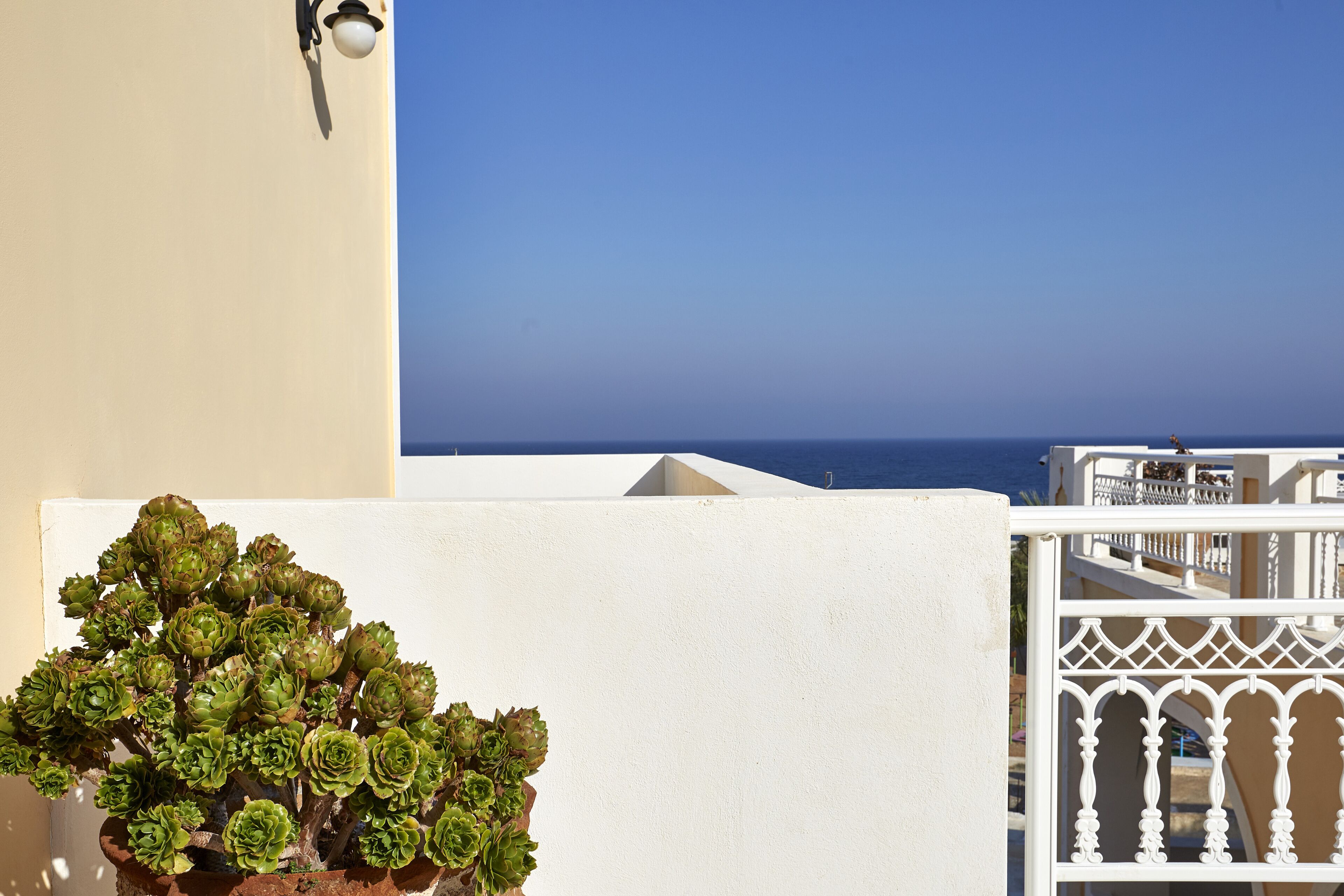 Foto - Blue Sea Hotel