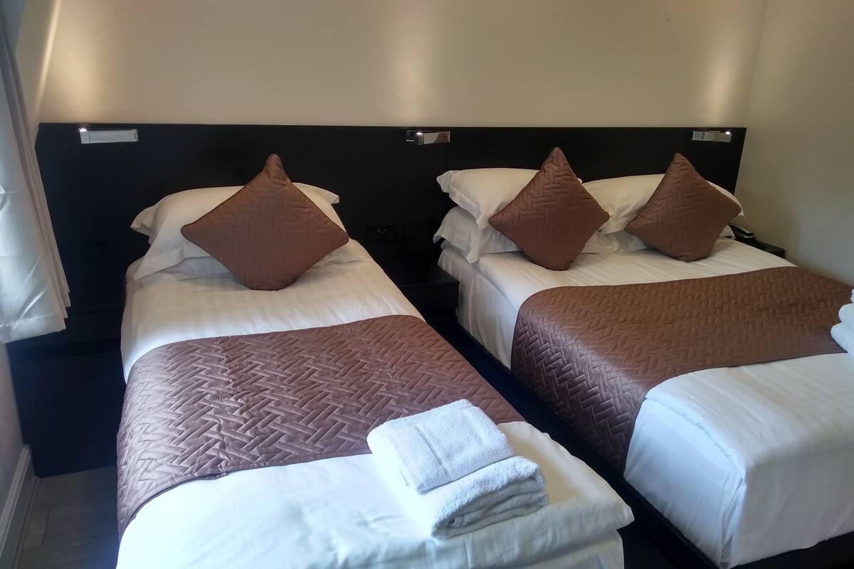 Two single beds with brown and white bedding, a black headboard, and a small bedside table with a lamp.