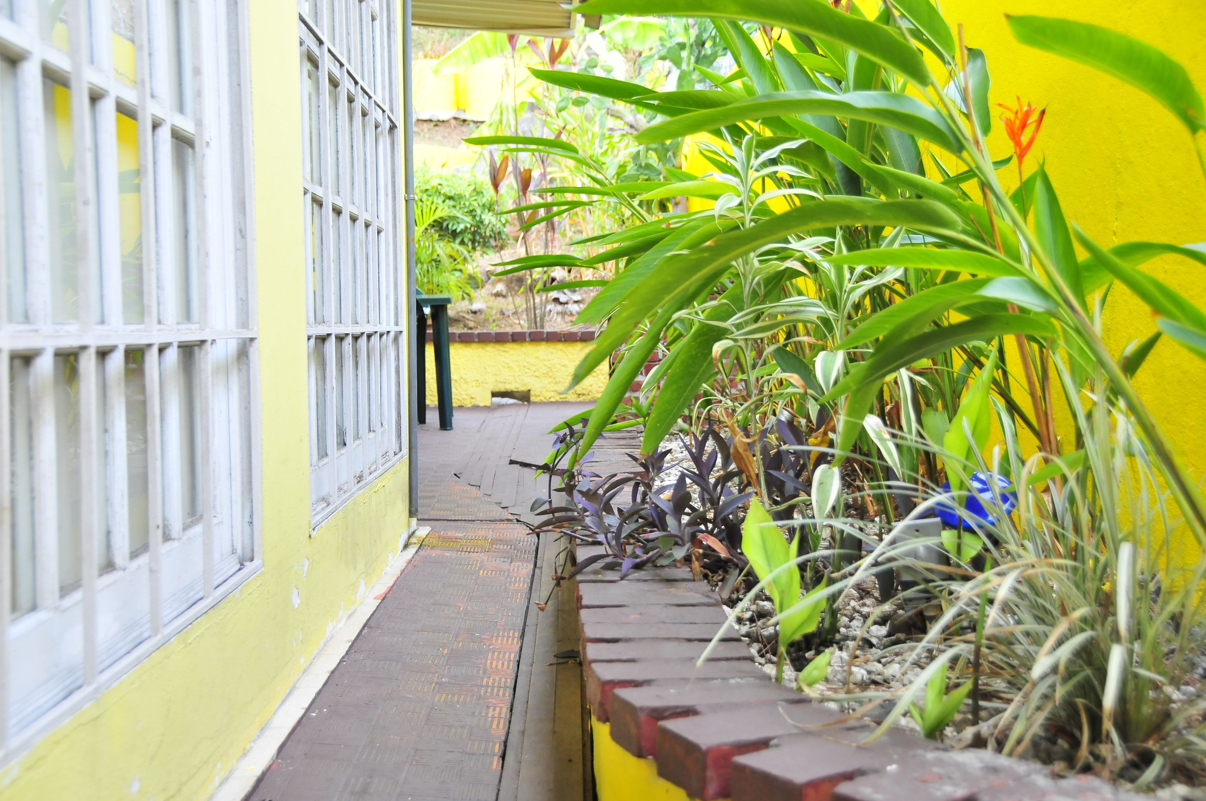 Détail de l’extérieur