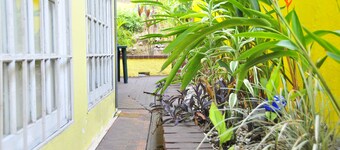 Mediterranean Dreams