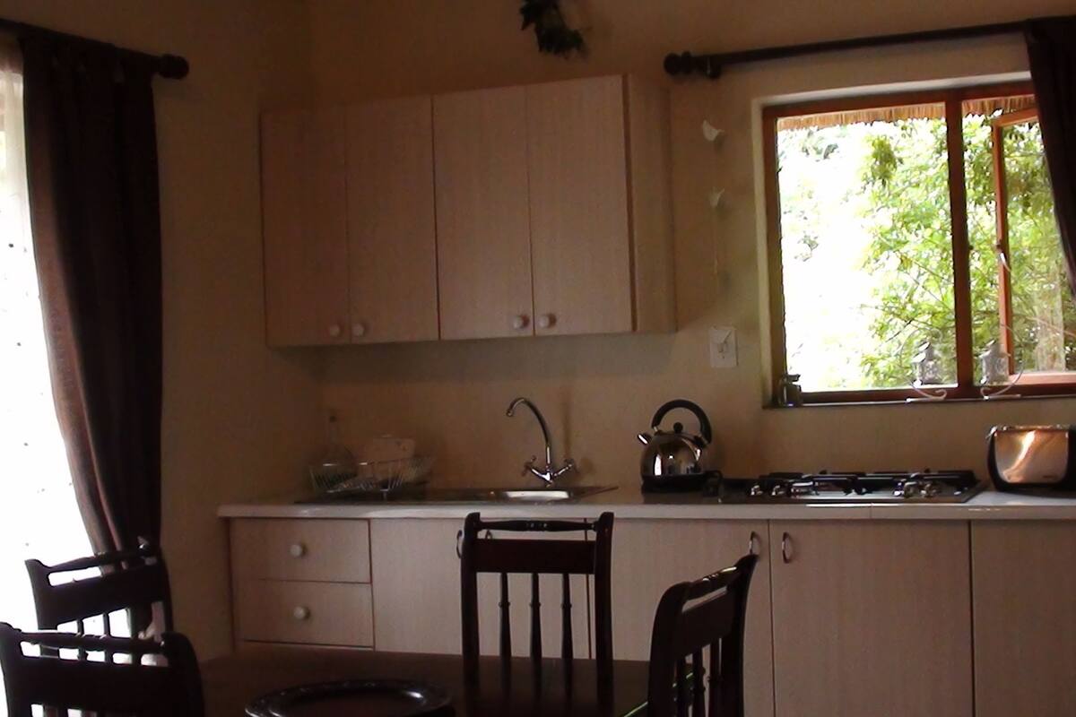 A kitchen with wooden cabinets, a window with curtains, a kettle, and a stove.