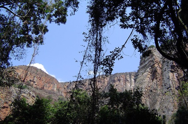 A mountainous landscape with rocky cliffs and dense foliage. - Forest Creek Lodge & Spa (Mashishing)