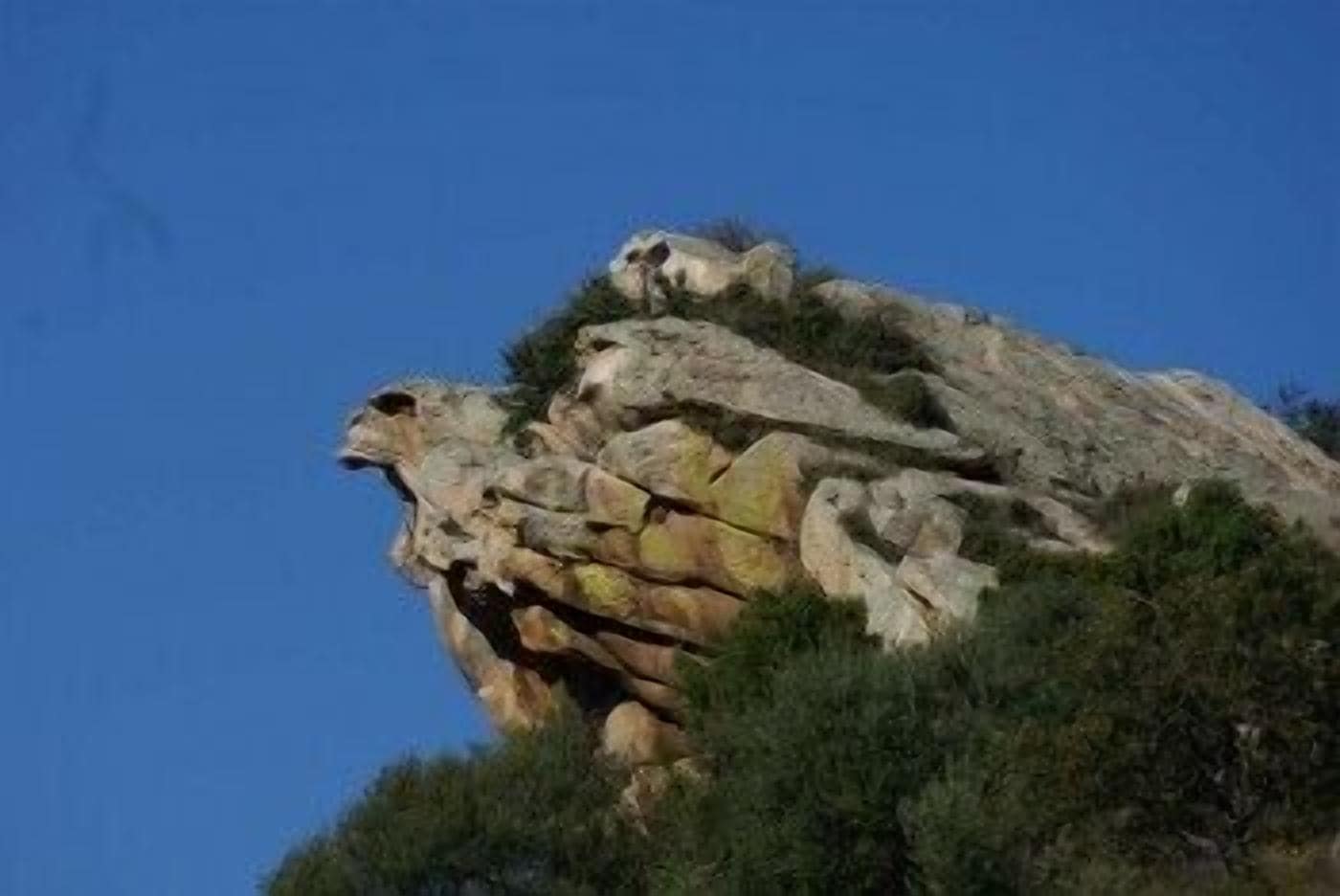 Foto - Agriturismo L'Aglientu B&B