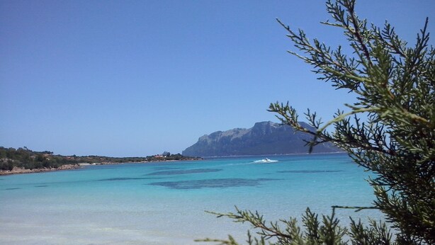 Een strand met helder turquoise water, een berg in de verte en schaarse begroeiing.