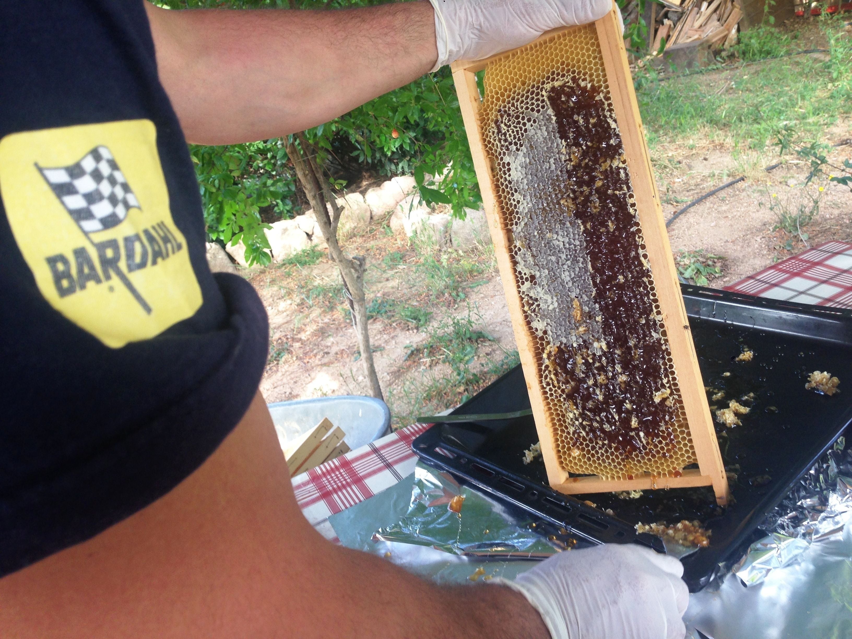 Eine Person hält einen Bienenwabenrahmen im Freien, mit einer karierten Tischdecke und einer schwarzen Oberfläche darunter.