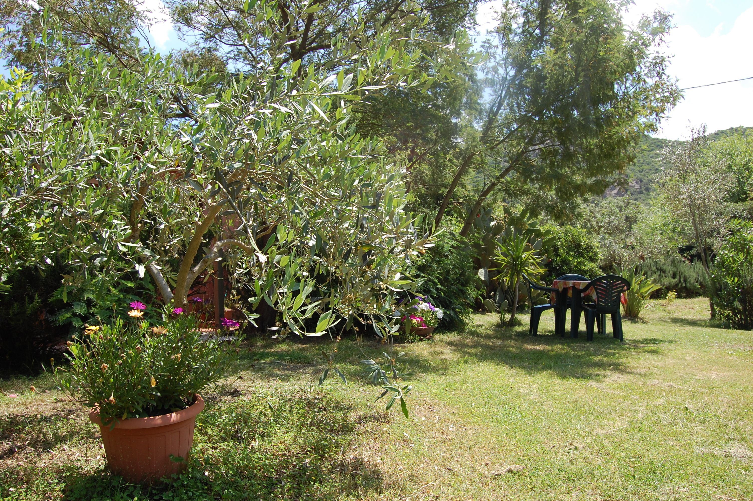 Un jardin agrémenté de plantes en pot, d’une petite table avec des chaises, et d’un décor composé d’arbres et de collines.