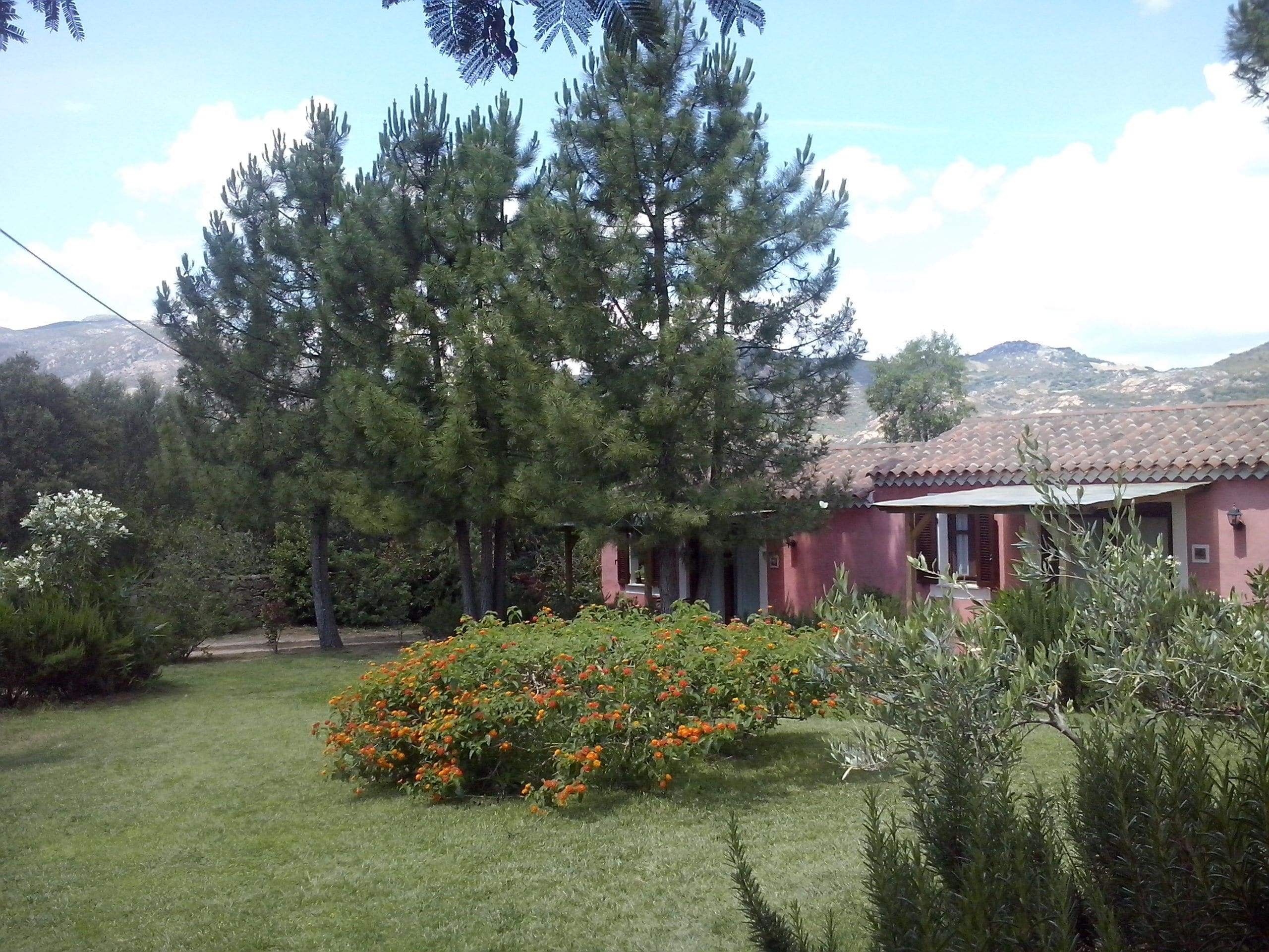 Foto - Agriturismo L'Aglientu B&B