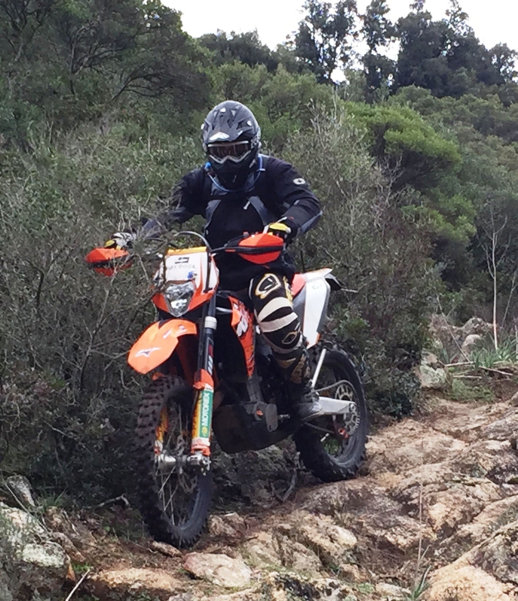 Foto - Agriturismo L'Aglientu B&B