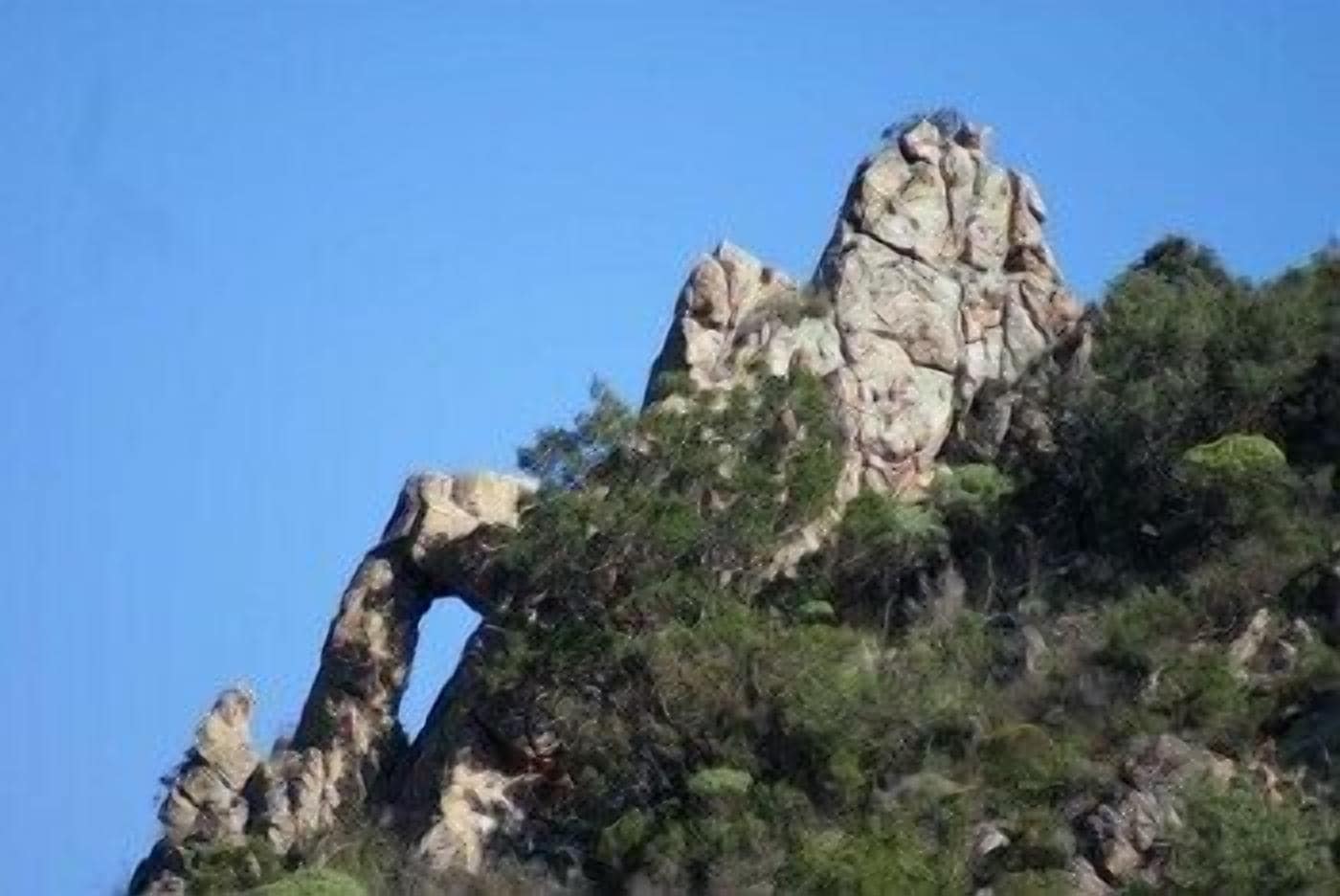 Foto - Agriturismo L'Aglientu B&B