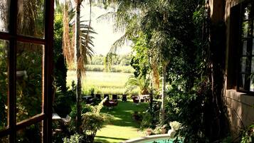 Vista desde la propiedad