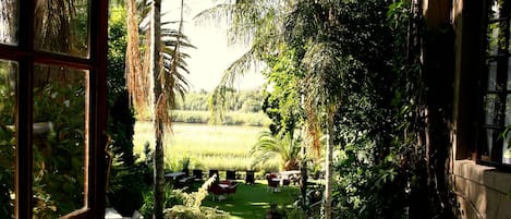 Utsikt fra overnattingsstedet