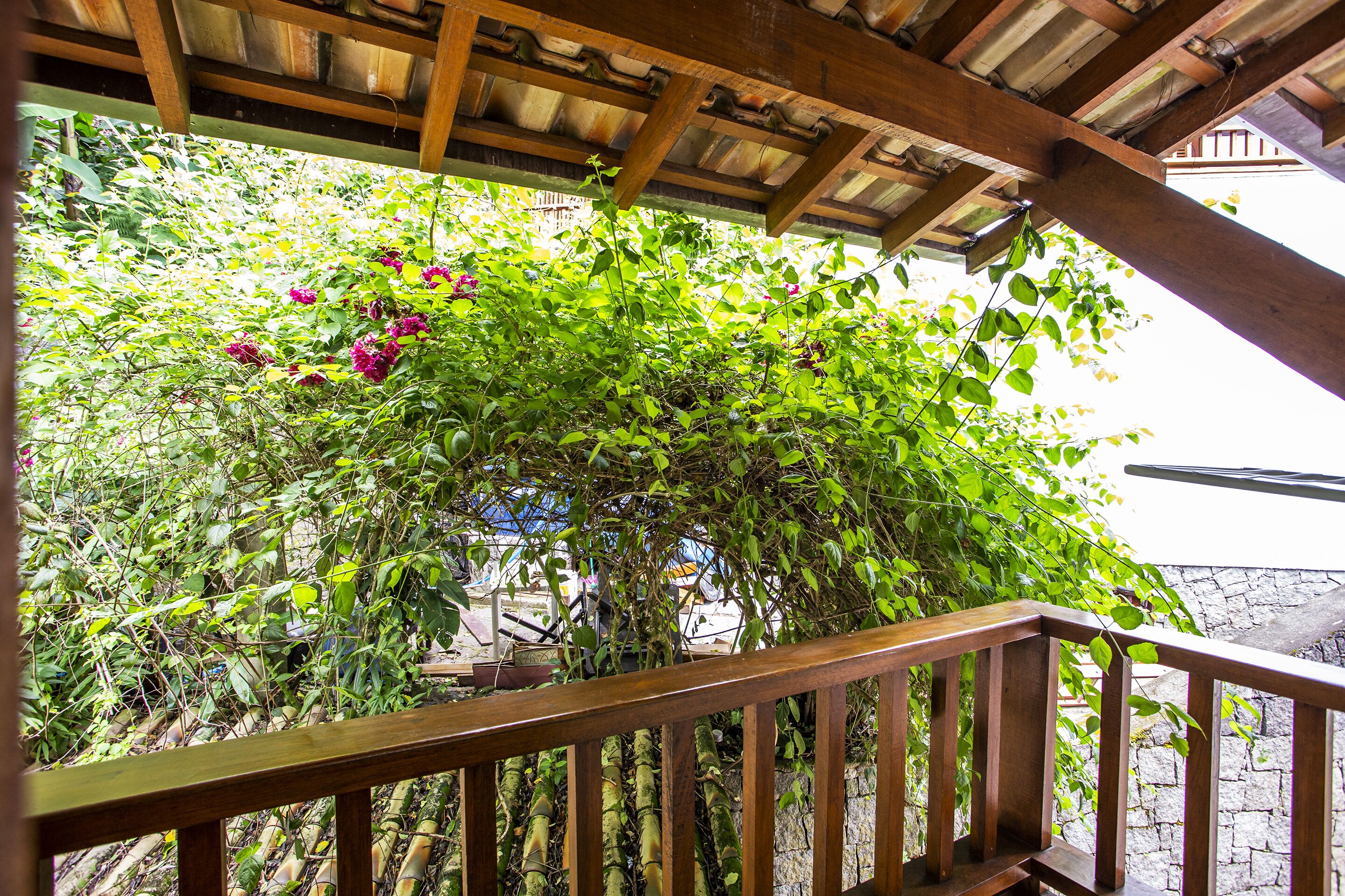 A wooden pergola structure with climbing plants and flowers.