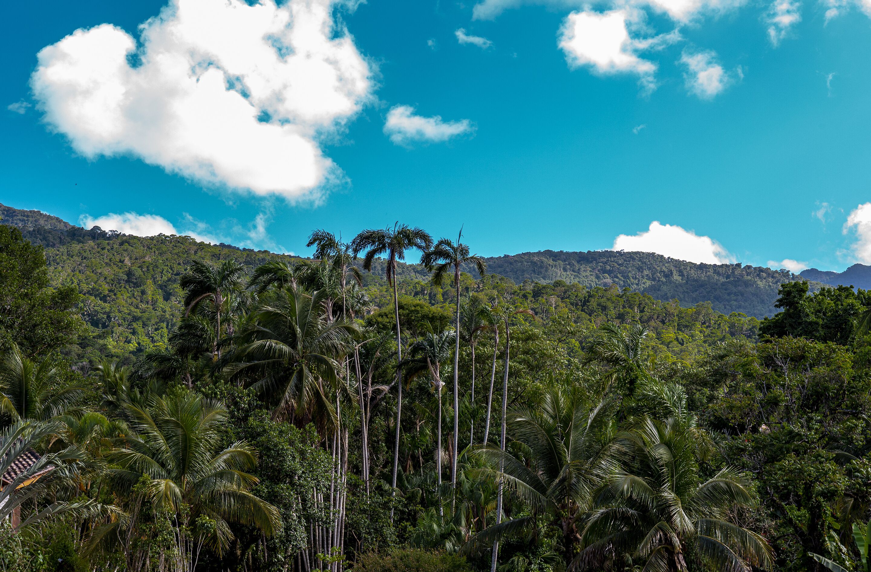 land view from property