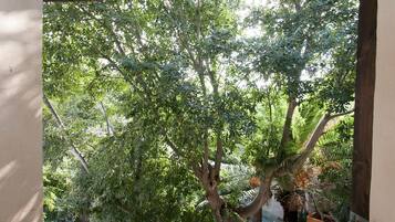 Quarto casal clássico | Vista para o jardim