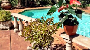 A pool area with a stone bench, potted plants, and a variety of greenery. - Pilgrims Delight (Centurion)
