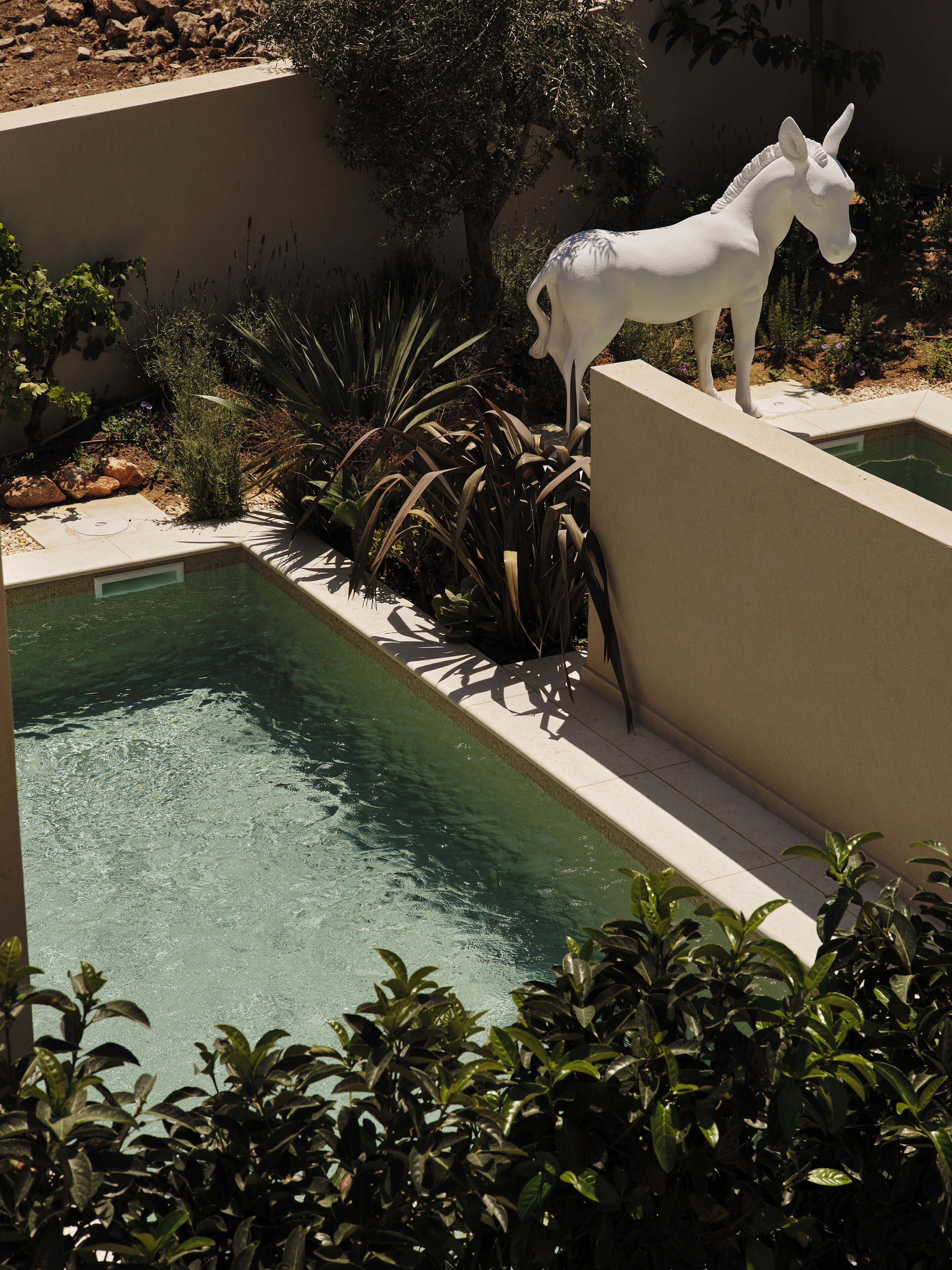 Una piscina con una estatua blanca de burro, rodeada de plantas y un muro de piedra.