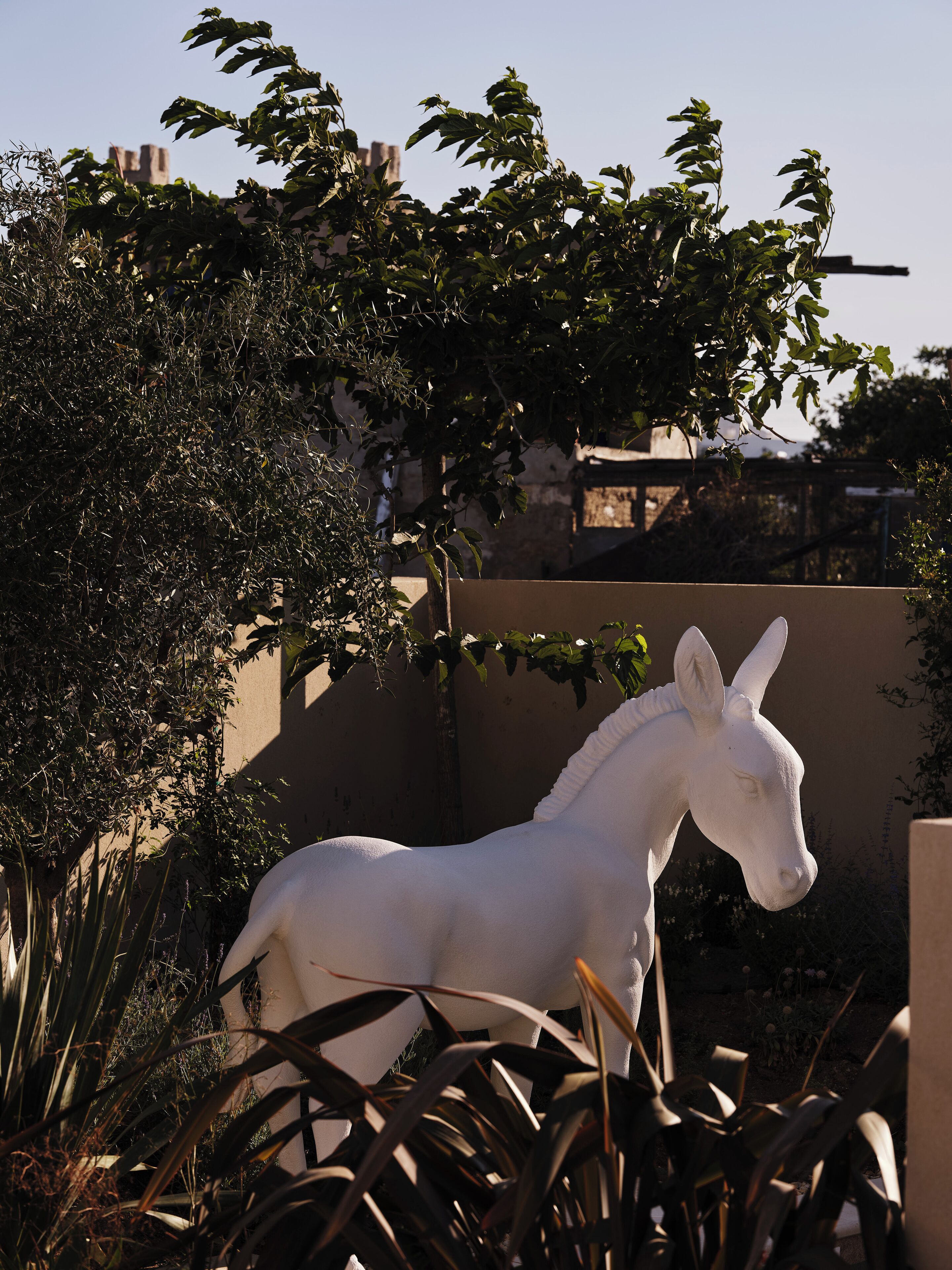 open plan suite with private pool | private pool