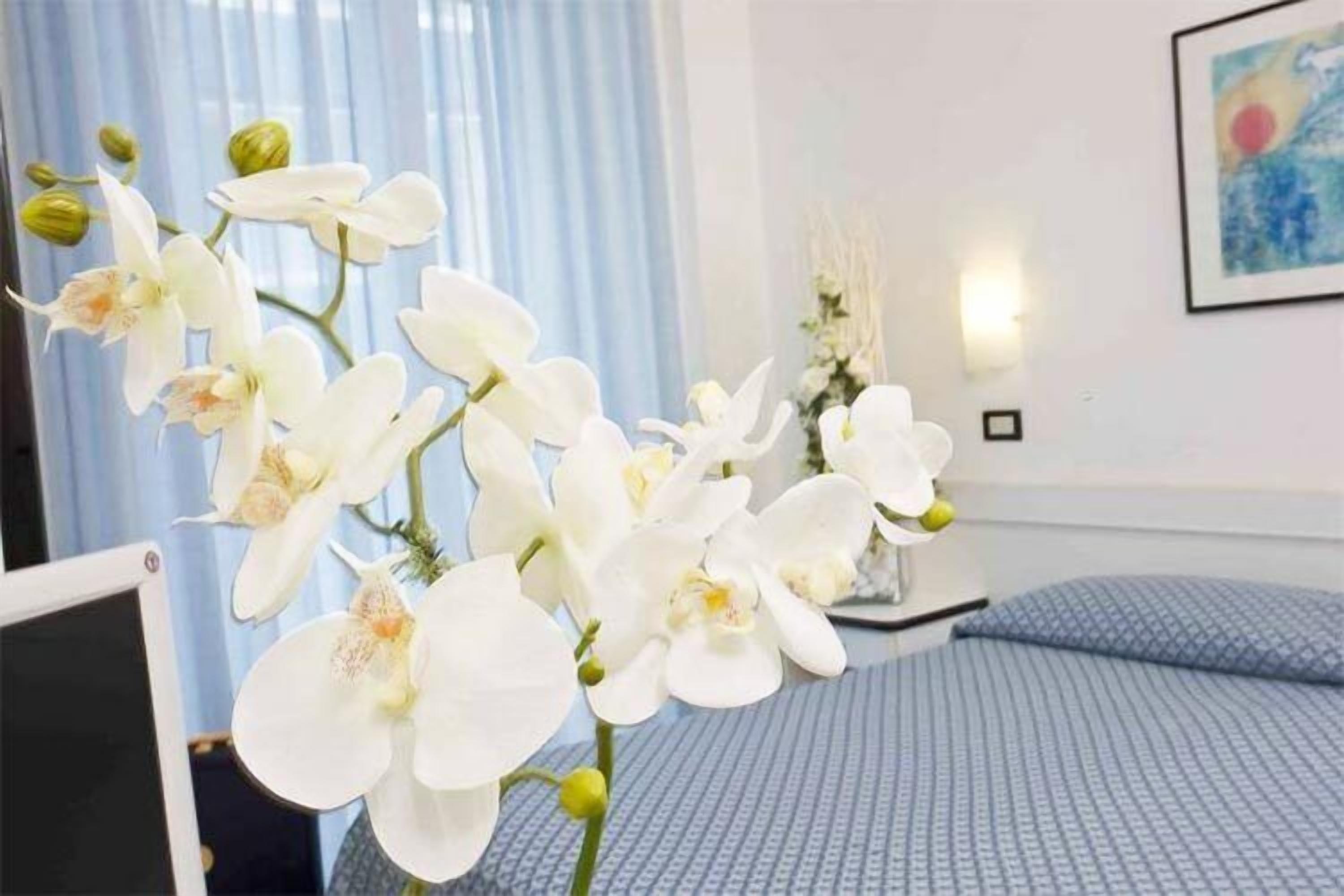 A hotel room with a bed, a TV, and white orchids.