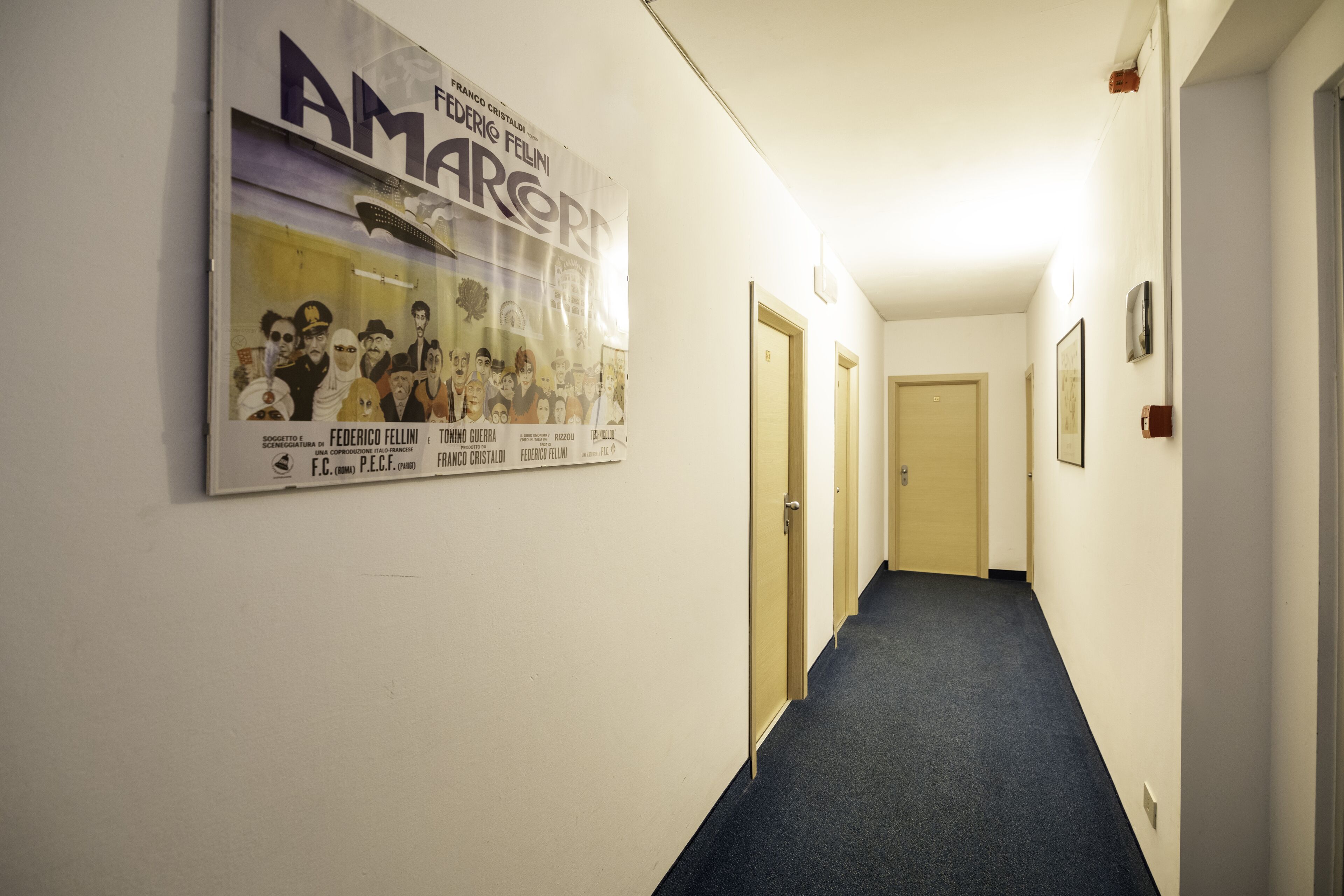 A hallway with a poster on the wall, doors, and a carpeted floor.
